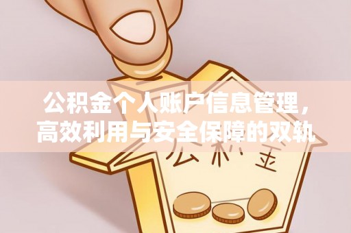 锡林郭勒盟公积金个人账户信息管理，高效利用与安全保障的双轨并行