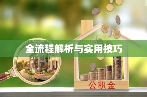 锡林郭勒盟全流程解析与实用技巧
