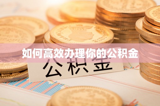 锡林郭勒盟如何高效办理你的公积金
