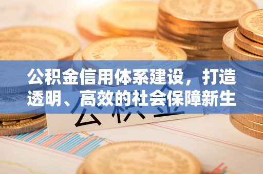 锡林郭勒盟公积金信用体系建设，打造透明、高效的社会保障新生态