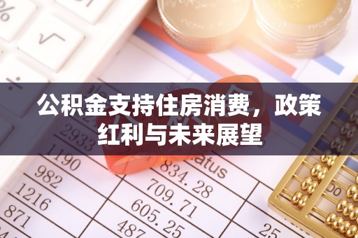 锡林郭勒盟公积金支持住房消费，政策红利与未来展望