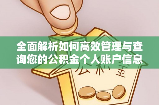 锡林郭勒盟全面解析如何高效管理与查询您的公积金个人账户信息