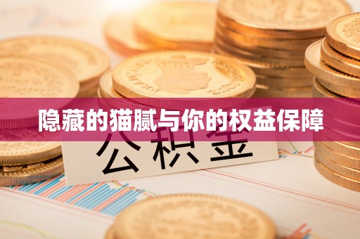 锡林郭勒盟隐藏的猫腻与你的权益保障