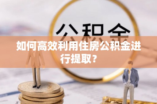 锡林郭勒盟如何高效利用住房公积金进行提取？